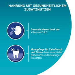 Purina ONE Bifensis Senior 7+ Katzenfutter Huhn 1,4 kg - 2 x 1,4 kg – Bild 1 von 6