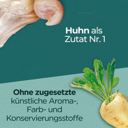 Purina ONE DualNature Adult Katzenfutter Huhn und Lachs ohne Farb- und Aromastoffe 2x650 g - 2 x 650 g – Bild 1 von 2