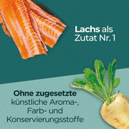 Purina ONE DualNature Katzenfutter für kastrierte Katzen Adult Lachs 650g - 650 g – Bild 1 von 3