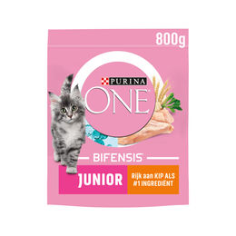 Purina ONE Junior Katzenfutter Trockenfutter für Katzenwelpen mit Huhn 800 g – Bild 1 von 4