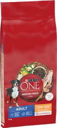 Produktbild von Purina ONE Medium/Maxi Adult Hundefutter Huhn 12 kg - 12 kg