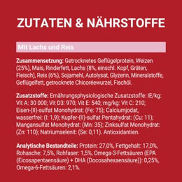 Purina ONE Mini Adult Hundefutter Lachs und Geflügel 3x800 g – Bild 1 von 2