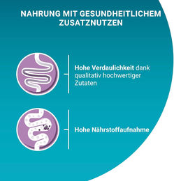 Purina ONE Sensitive Katzenfutter Huhn mit zarten Stückchen in Sauce 26 x 85g - 26 x 85 g – Bild 1 von 3