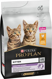 Produktbild von Purina Pro Plan Kitten Healthy Start Katzenfutter mit Huhn 3 kg - 3 kg