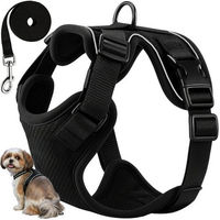 Produktbild von Purlov Hundegeschirr Set mit Leine aus reflektierendem Polyester druckfrei und verstellbar