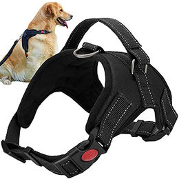 Purlov Sicherheitsgeschirr für Hunde aus Nylon in Schwarz Größe M – Bild 1 von 5