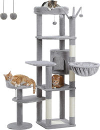 Purpurra Kratzbaum Katzenturm mit Hängematte und Höhle für große Katzen 150cm Grau – Bild 1 von 1