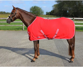 Q-essentials Fleece-Decke mit Riemen in Rot – Bild 1 von 3