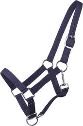 Q-essentials Fohlen-Halfter aus Nylon für Jährlinge in Blau – Bild 1 von 2