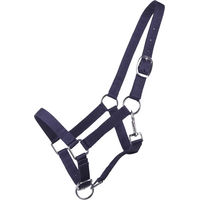 Produktbild von Q-essentials Fohlen-Halfter aus Nylon für Jährlinge in Blau