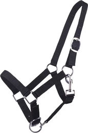 Q-essentials Fohlen-Halfter für Jährlinge aus Nylon in Schwarz – Bild 1 von 2