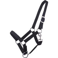 Produktbild von Q-essentials Fohlen-Halfter für Jährlinge aus Nylon in Schwarz