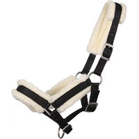 Produktbild von Q-essentials Fohlenhalfter mit Fell aus Nylon in Schwarz
