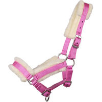 Produktbild von Q-essentials Fohlenhalfter mit Fell in Rosa aus Nylon