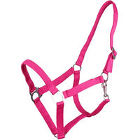 Produktbild von Q-essentials Halfter mit Schiebemechanismus aus Nylon in Rosa Größe XL
