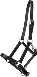 Produktbild von Q-essentials Lederhalfter für Fohlen in Schwarz
