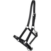 Produktbild von Q-essentials Lederhalfter für Pferde Fohlen Schwarz