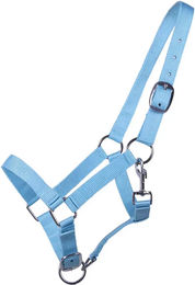 Produktbild von Q-essentials Nylon Halfter für Fohlen in Blau und Türkis