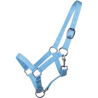 Produktbild von Q-essentials Nylon Halfter für Fohlen in Blau und Türkis