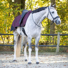 Produktbild von QHP Ausreitdecke 1200D Turnout Collection Fleece