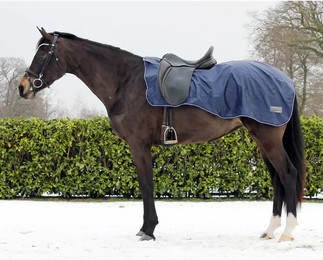 Produktbild von QHP Ausreitdecke 420D Navy mit Fleecefutter und Sattelausschnitt - 1 Stk.