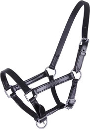 Produktbild von QHP Chico Lederhalfter Fohlen