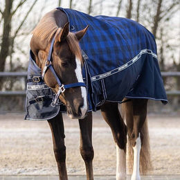 Produktbild von QHP Collection Turnoutdecke 150g