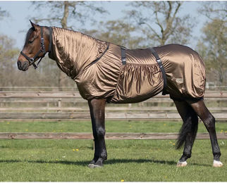 QHP Ekzemdecke Pferd – Bild 1 von 2