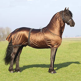 QHP Ekzemerdecke Bigneck für Friesen und Barockpferde – Bild 1 von 2