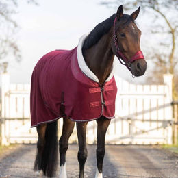 Produktbild von QHP Fleecedecke Gloss