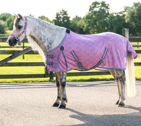 Produktbild von QHP Fly Sheet Rosalynn