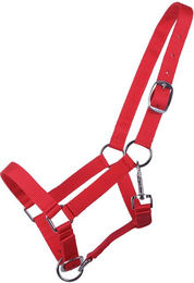 Produktbild von QHP Fohlen-Halfter Jährling 2-fach verstellbar rot