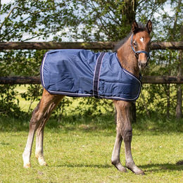 Produktbild von QHP Fohlendecke Turnout 100g - 100 g