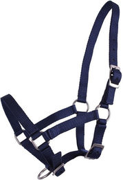 Produktbild von QHP Fohlenhalfter aus Nylon