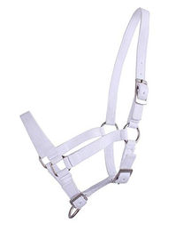 Produktbild von QHP Fohlenhalfter Nylon 3fach verstellbar