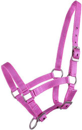 Produktbild von QHP Fohlenhalfter Nylon 3fach verstellbar