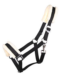 QHP Halfter Cali – Bild 1 von 2