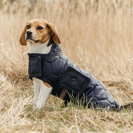 Produktbild von QHP Hundedecke Classy