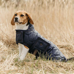 Produktbild von QHP Hundedecke Classy