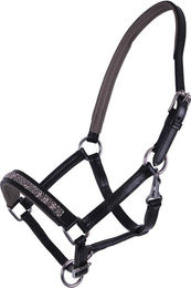 Produktbild von QHP Lederhalfter Fohlen Lupine