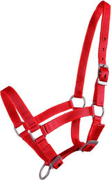 Produktbild von QHP Nylonhalfter Fohlen 3-fach verstellbar