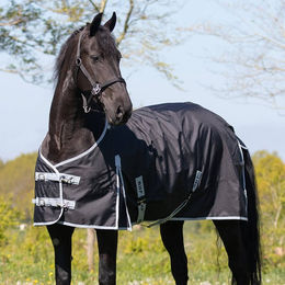 QHP Outdoordecke Tournout XL 600D 300g Füllung für Friesen und großrahmige Pferde – Bild 1 von 2