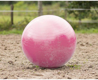 Produktbild von QHP Pferdefußball