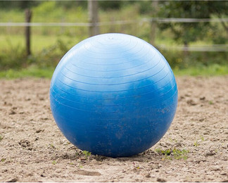 Produktbild von QHP Pferdefußball - 1 Stk.