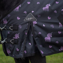 Produktbild von QHP Regendecke Turnout Lize 100gr