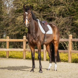 Produktbild von QHP Schabracke Firenze