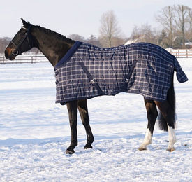 Produktbild von QHP Stalldecke Luxus 150g