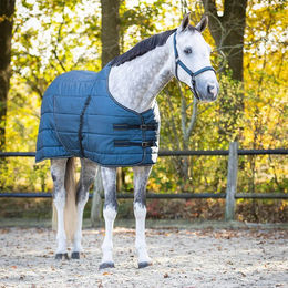 Produktbild von QHP Stalldecke Start Collection 200gr