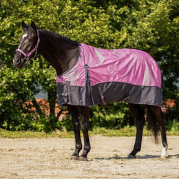 Produktbild von QHP Turnout Rug Collection 0g