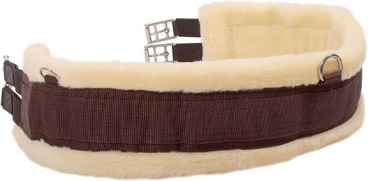 QHP Vielseitigkeitsgurt Ontario – Bild 1 von 5